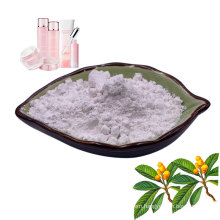 Natural Herbal CAS 77-52-1 Ursolic Acid Powder Plant Extract Loquat Leaf Extract Cosmetic Prunol